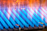 Dawlish gas fired boilers